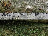 image of grave number 970232